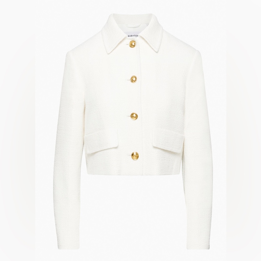 Aritzia babaton Frances jacket